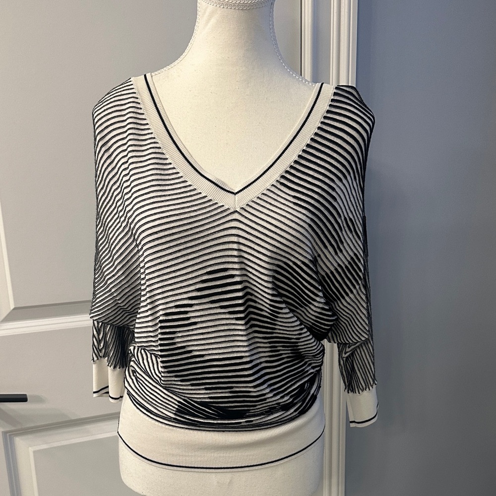 White House Black Market Black and White Striped V-Neck Blouse